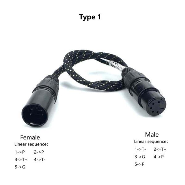Type1
